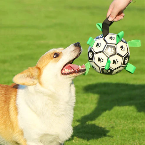 Hunde Fodbold
